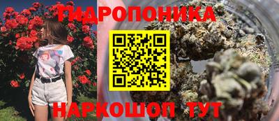 скорость Кингисепп