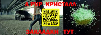 скорость Кингисепп