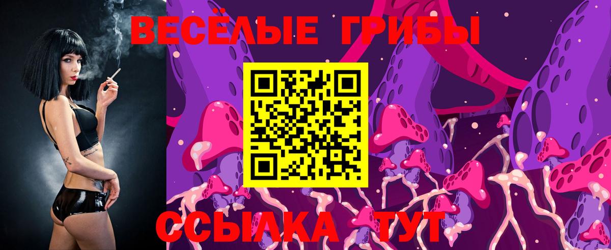 Псилоцибиновые грибы мицелий  Вход с VPN  Галлюциногенные грибы Psilocybe  Кудрово 