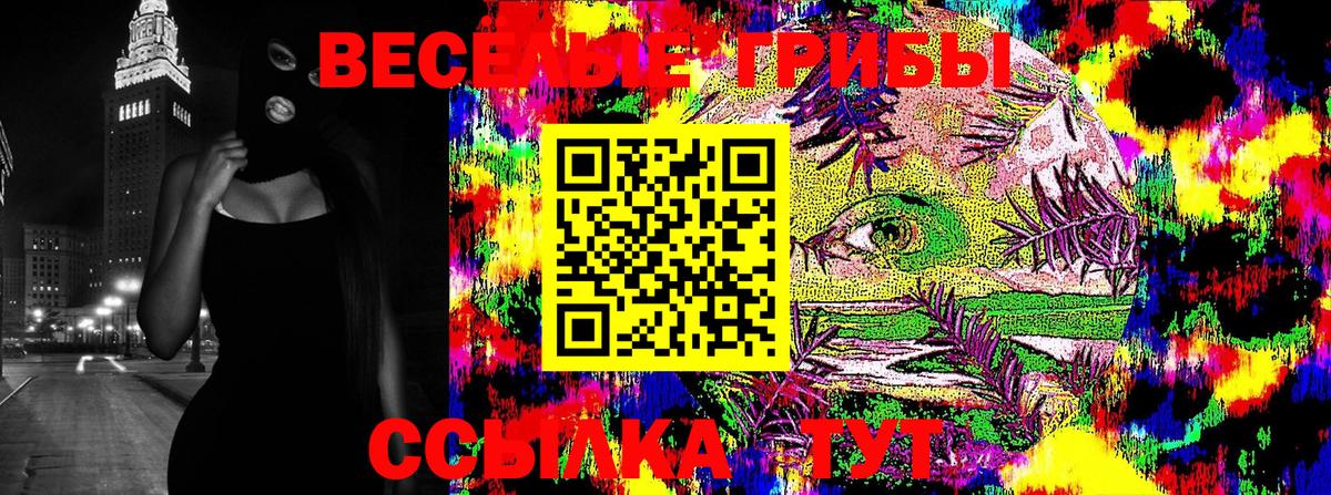 Псилоцибиновые грибы Cubensis Кудрово
